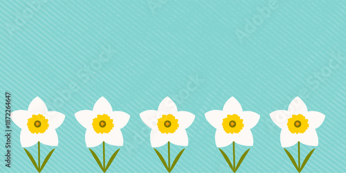 white flowers on blue background