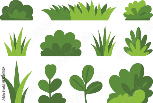 Green plants and bushes vector set, flat nature foliage collection, garden shrubs, grass elements, botanical design for landscape illustration