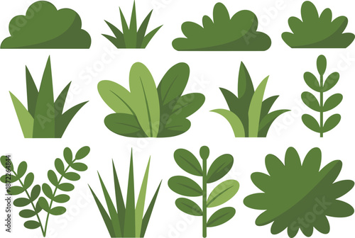Green plants and bushes vector set, flat nature foliage collection, garden shrubs, grass elements, botanical design for landscape illustration