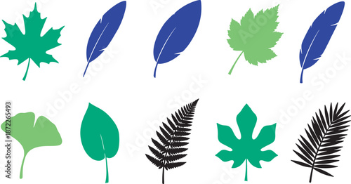 Collection of various green leaf shapes isolated on transparent background