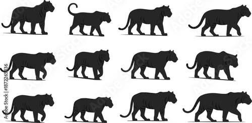 Tiger silhouette walking animation set with multiple side view poses black wild big cat vector illustration
