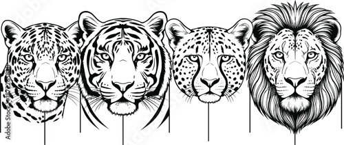 Wild big cat head illustration set featuring leopard tiger cheetah and lion black white vector art