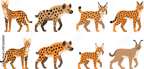 Canvas Print African wild cat character set featuring serval hyena and caracal walking poses