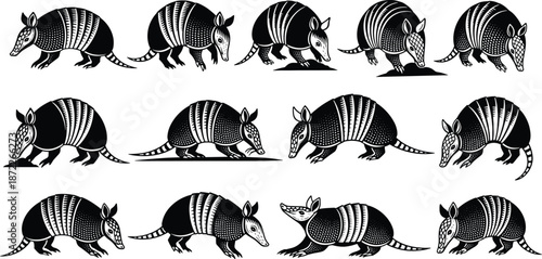 Armadillo engraved illustration set with multiple walking poses black white wildlife animal vector collection