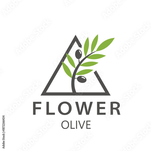 Olive Branch in Triangle Frame Logo