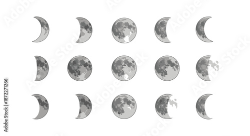 Realistic lunar cycle sequence showing detailed phases of the moon with crater textures on a clean white background for astronomical education.