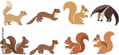 Cute forest animal character set featuring squirrel ferret chipmunk and anteater cartoon wildlife vector illustration
