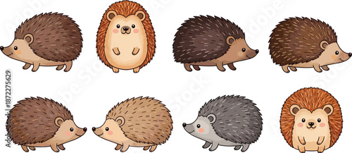 Cute hedgehog character set with different colors walking sitting poses cartoon forest animal mascot vector illustration