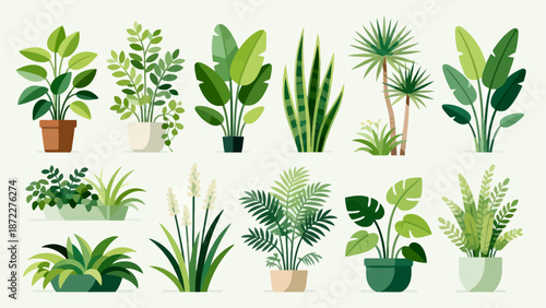 various potted plants collection