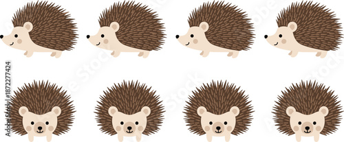 Cute hedgehog character set with walking and front view poses cartoon forest animal mascot vector illustration