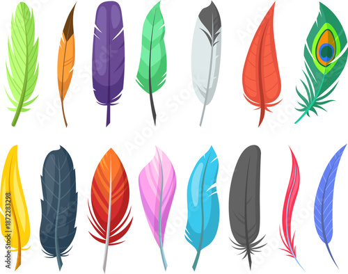 A colorful collection of various feathers displayed on a plain white background