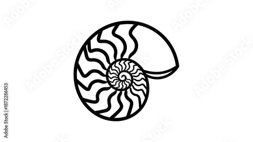 Nautilus Shell Spiral Line Art Illustration