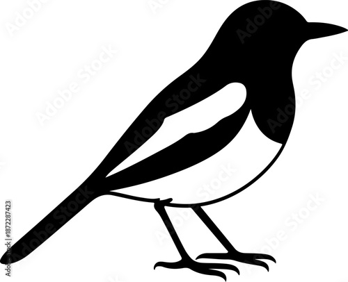 Oriental Magpie-Robin Vector Illustration –The National Bird of Bangladesh