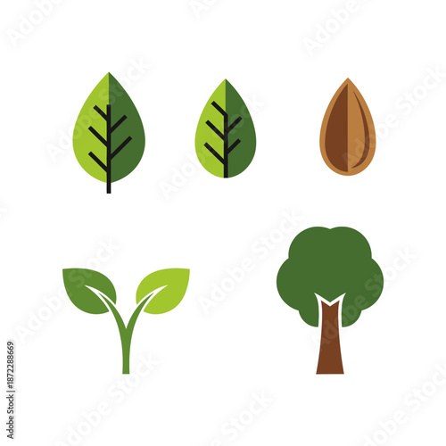 A collection of simple flat design icons representing different stages of plant life, including leaves, a seed, a sprout, and a mature tree.