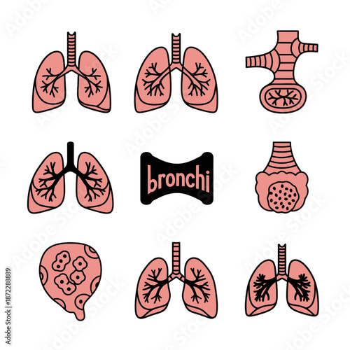 Set of stylized illustrations depicting human lungs, bronchi, and respiratory system anatomy.