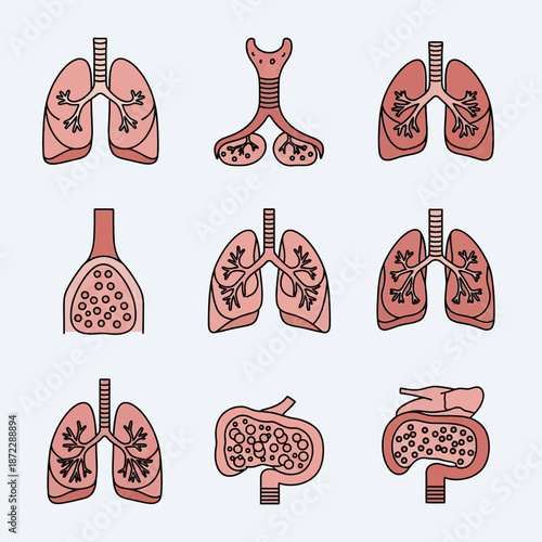 Detailed illustrations of human internal organs, including lungs, trachea, and digestive system elements.