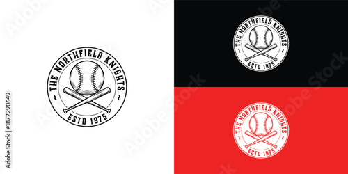 The vintage-style, circular baseball logo features crossed bats and a stitched ball. This simple design conveys tradition and a classic athletic feel, perfect for a professional sports club.