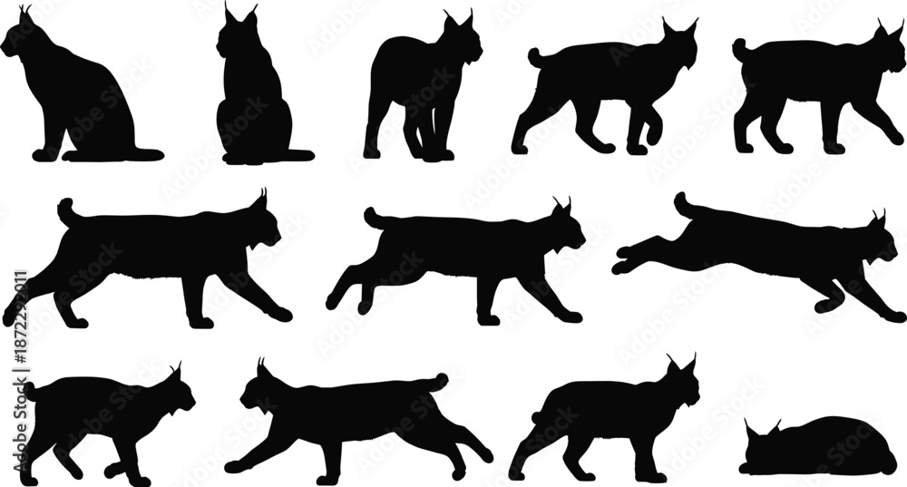 Fototapeta premium Lynx silhouette animation set with sitting walking running jumping poses black wild cat vector illustration collection