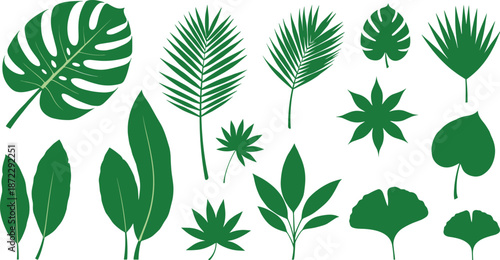 Botanical leaf silhouette collection featuring tropical foliage, plant shapes, nature elements, greenery designs, and decorative organic outlines