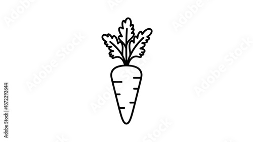 Carrot vegetable line icon vector illustration.
