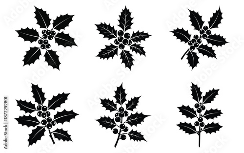 Black holly leaves on white background, decorative illustration