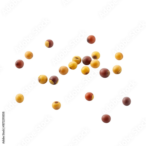 Mustard seeds scattered isolated, transparent background, emphasizing seasoning and cooking use
