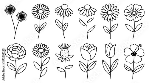 Collection of hand-drawn simple flower doodles for decoration and design projects