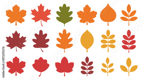 Vibrant collection of autumn leaves showcasing diverse shapes and seasonal colors