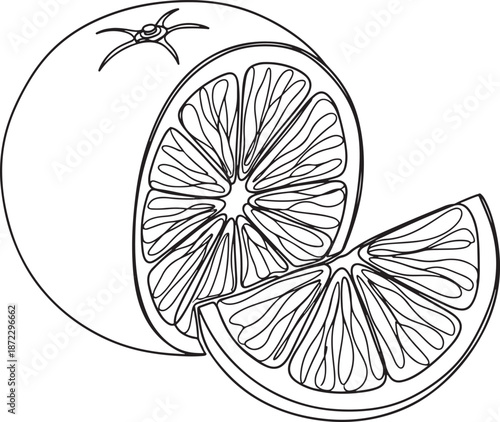 Minimalist Split Dragon Fruit Halved Cross Section Vector Illustration