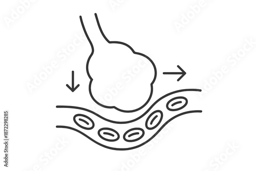 Diagram shows interaction of cell and blood vessel during immune response in human body at cellular level