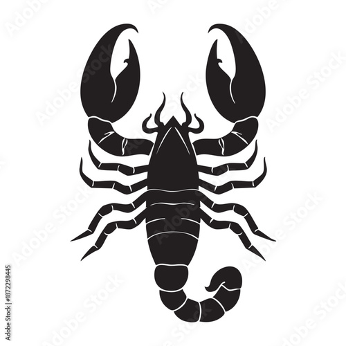 Vector illustration of a scorpion, solid black on a pure white background