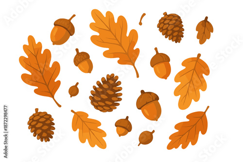 Colorful leaves, acorns, and pinecones scattered on a white background during the autumn season