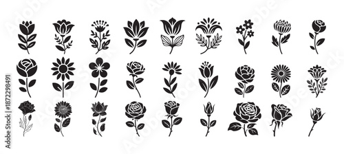 Flower vector set. Hand drawn flower wild plant, Outline foliage natural leaves herbs. vector illustration eps 10