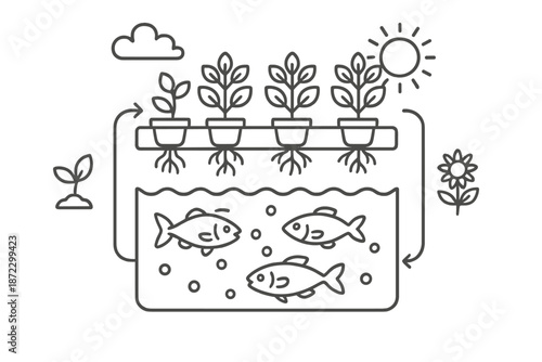 Aquaponics system showing fish tank and plants growing above for sustainable farming at home