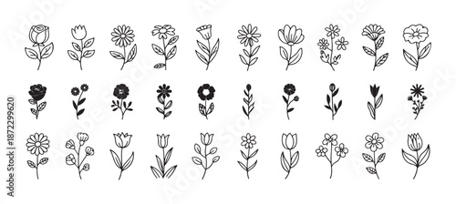 Flower elements set. Black color flower shape icon, Flowers line icons, Flourish branch, laurel flower for border, divider design element. vector illustration eps 10