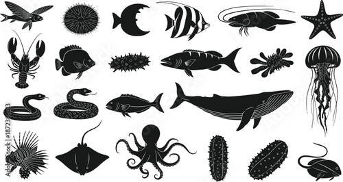 Marine animals, aquatic silhouettes, sea life, ocean creatures, jellyfish, whale, fish, lobster, octopus, stingray, black vector, flat illustration, underwater, 