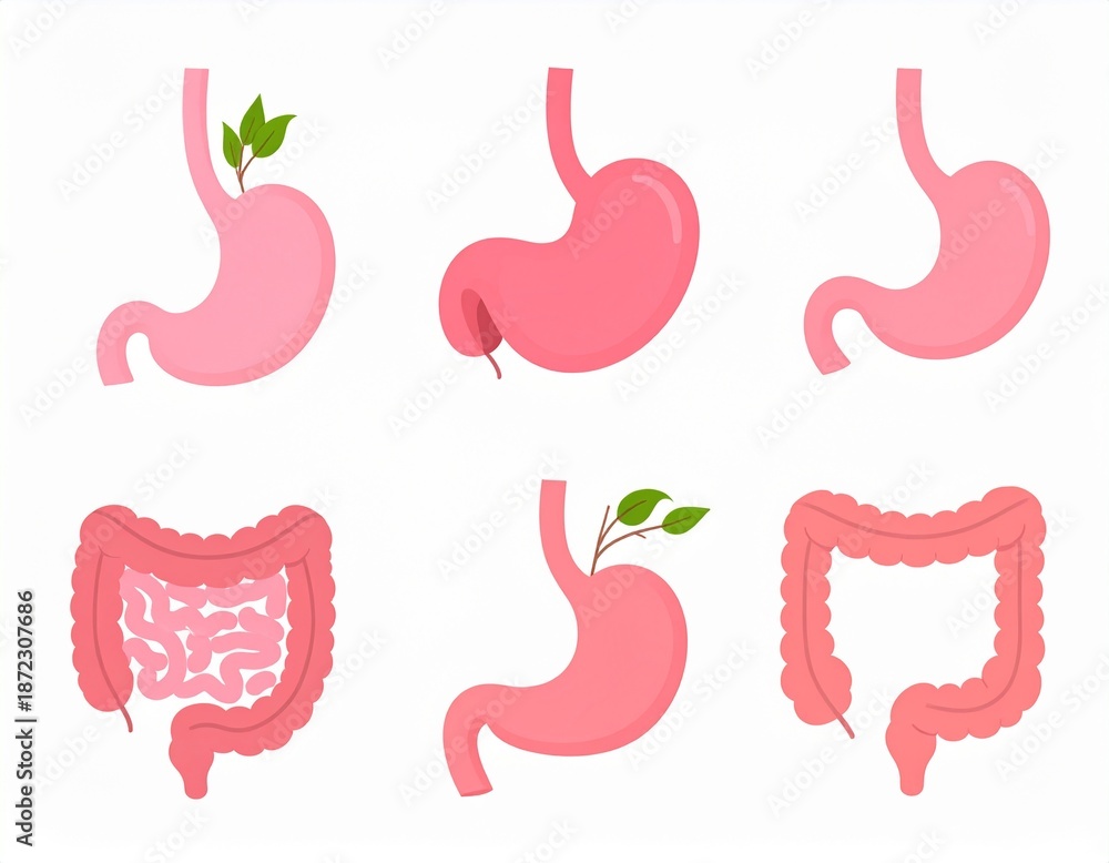 Fototapeta premium Human Digestive Organs Flat Medical Icons