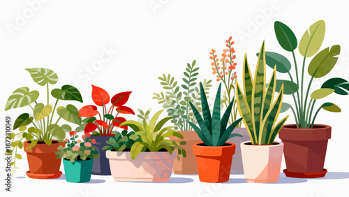 Potted plants in colorful pots
