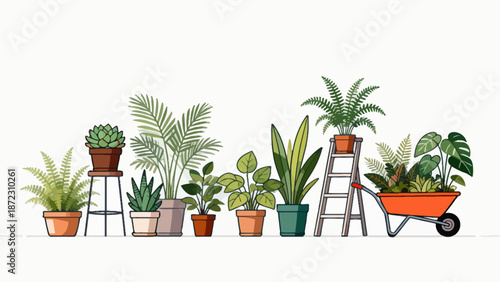 Potted plants and gardening tools