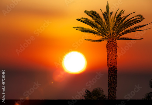Palme vor einem paradiesischem Sonneuntergang am Meer