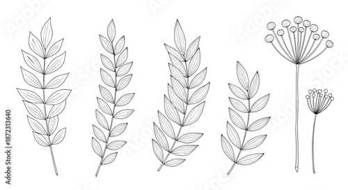 Set of delicate black and white hand-drawn leaf branches and floral elements, perfect for vintage or botanical design themes on white.