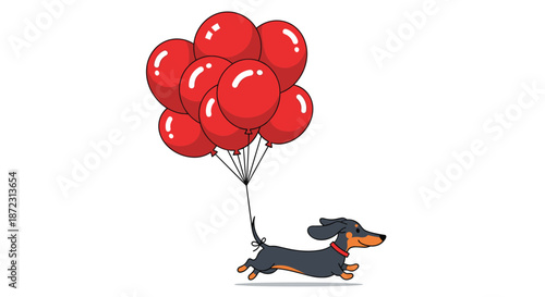 Cute dachshund dog running happily while being carried up into the air by a large bunch of bright red balloons on white background.