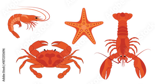 Collection of red marine life illustrations featuring a shrimp, a starfish, a crab, and a lobster isolated on white.