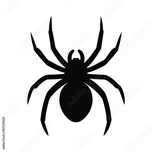 Black silhouette of spider with long spindly legs isolated on white