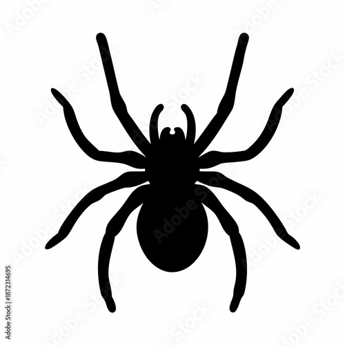 A dark silhouette of a spider against a stark white background