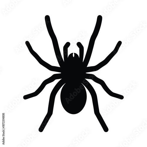 Black spider silhouette with eight legs on a white background image