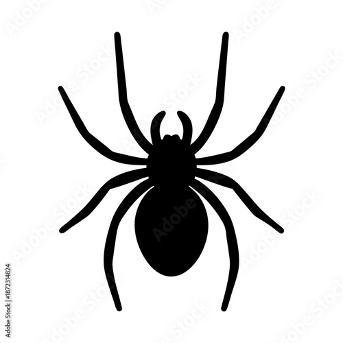 Simple black spider silhouette on a white background creates a minimalist design