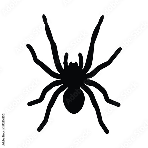 Black silhouette of a spider with eight legs isolated on white background