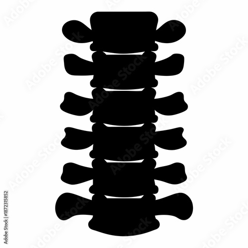 Stylized vertebral column silhouette demonstrating the fundamental building blocks of spinal health