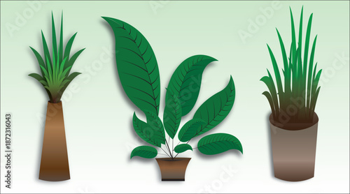 Modern plants decor with abstract wave line art template.